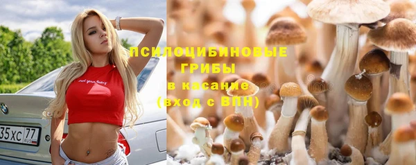 метадон Беломорск